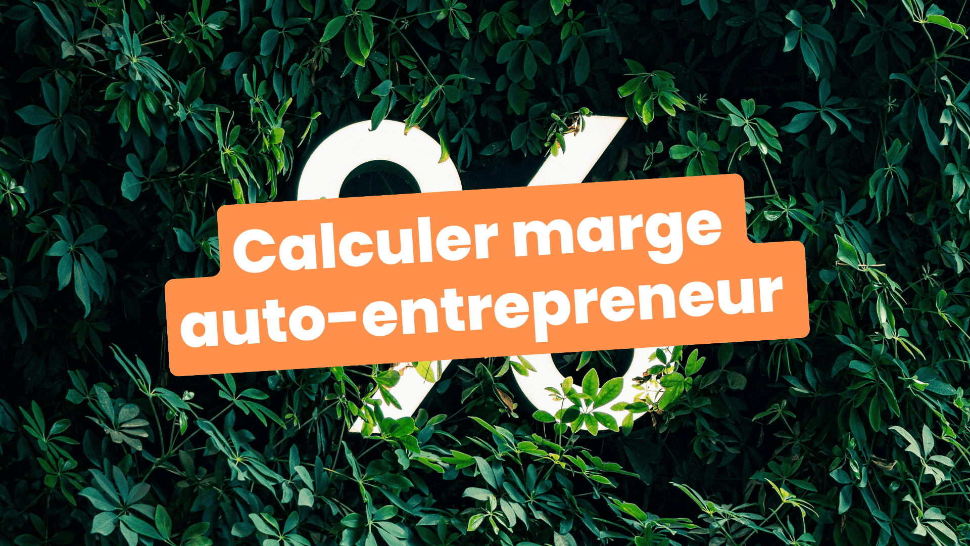 marge auto-entrepreneur 2025